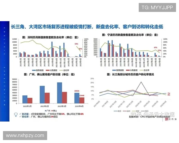 杭州篮球队状态分析与未来展望聚焦球队发展与球员表现